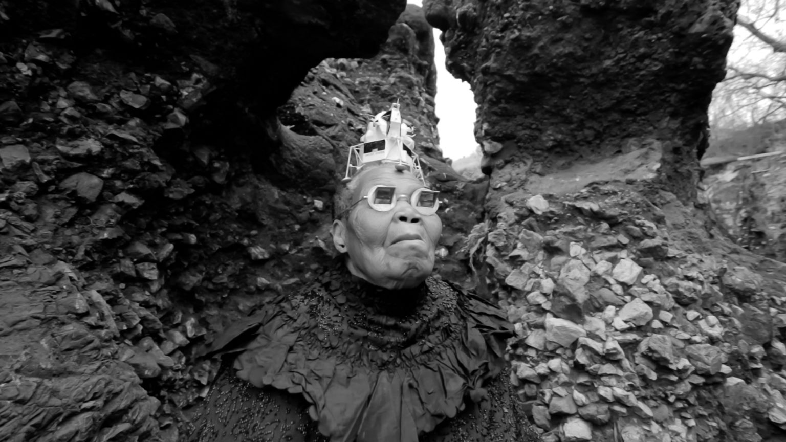 [2010] The cradle of Humankind (film) Steven Cohen